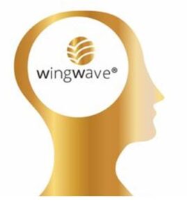 Életút támogatás